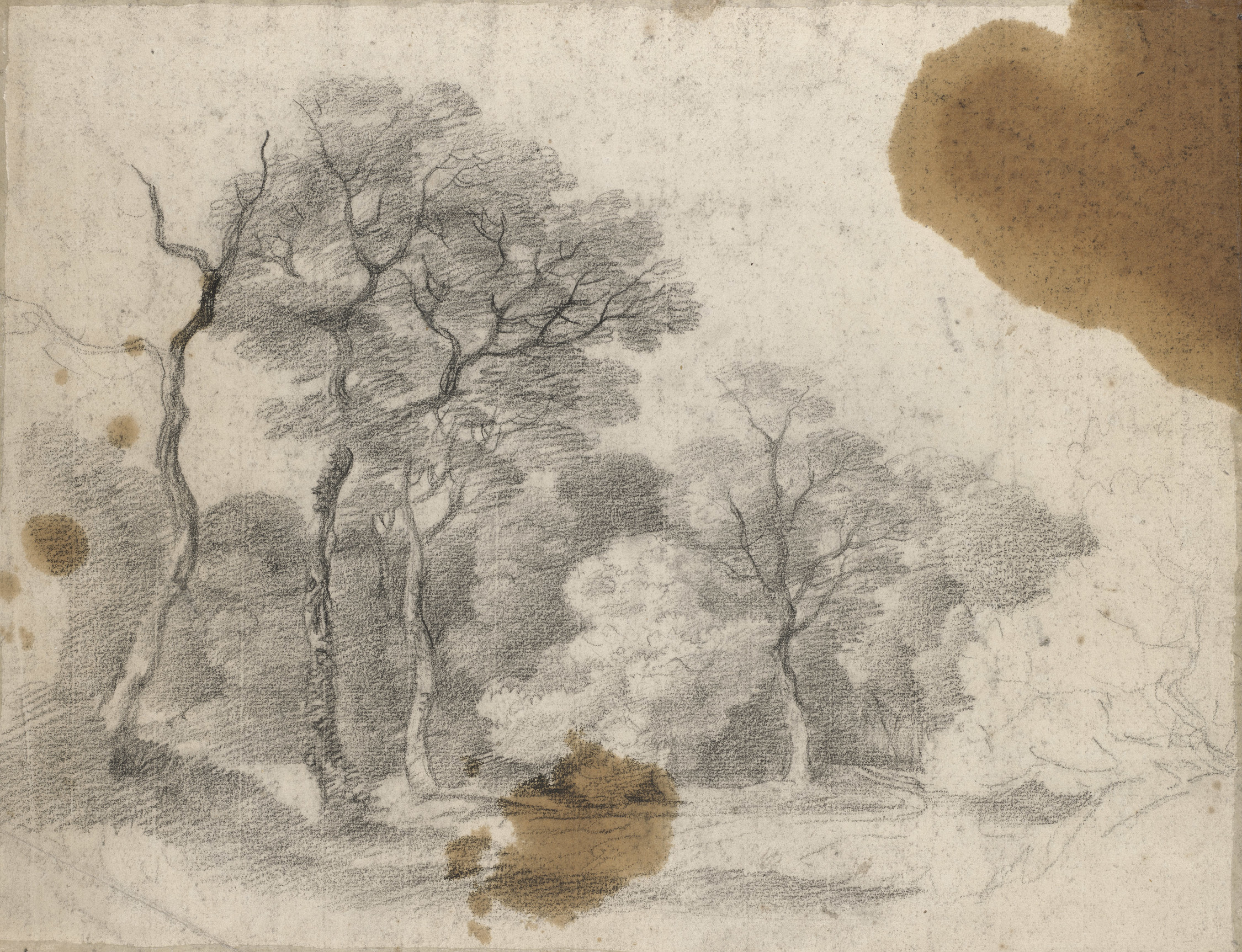A&nbsp;drawing in black chalk and stump&nbsp;of trees and a path, with cows and two figures resting. Oil stains at top and lower right. On the verso, another landscape study in black chalk with trees.
This drawing is one of 25 landscape drawings in the Ro