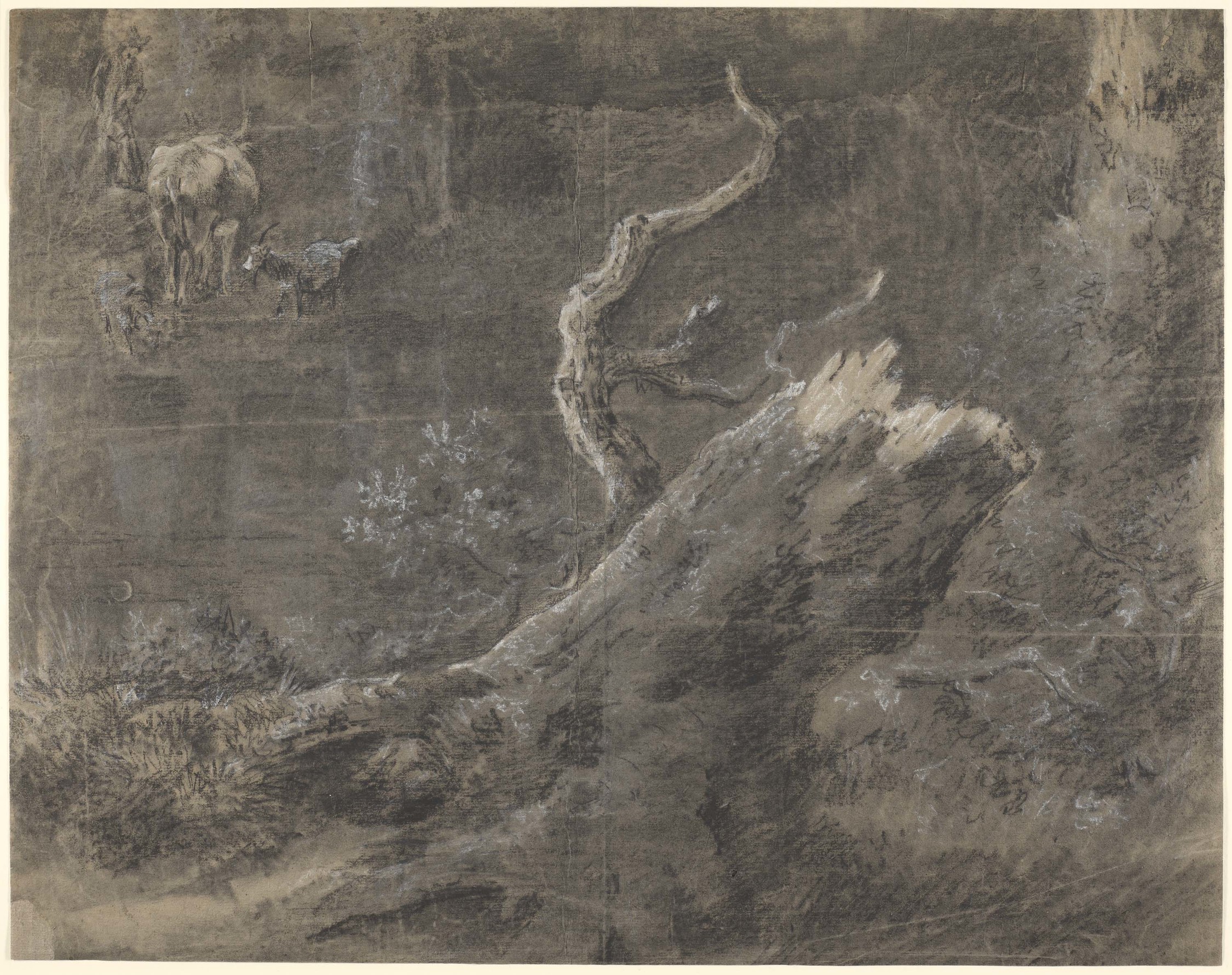 A drawing in black and white chalk and stump, showing a tree stump and possibly a watering hole.&nbsp;A shepherd with cow and two goats in the background left. Drying fold at centre of sheet. 
The sheet is highly unusual in being covered almost entirely w