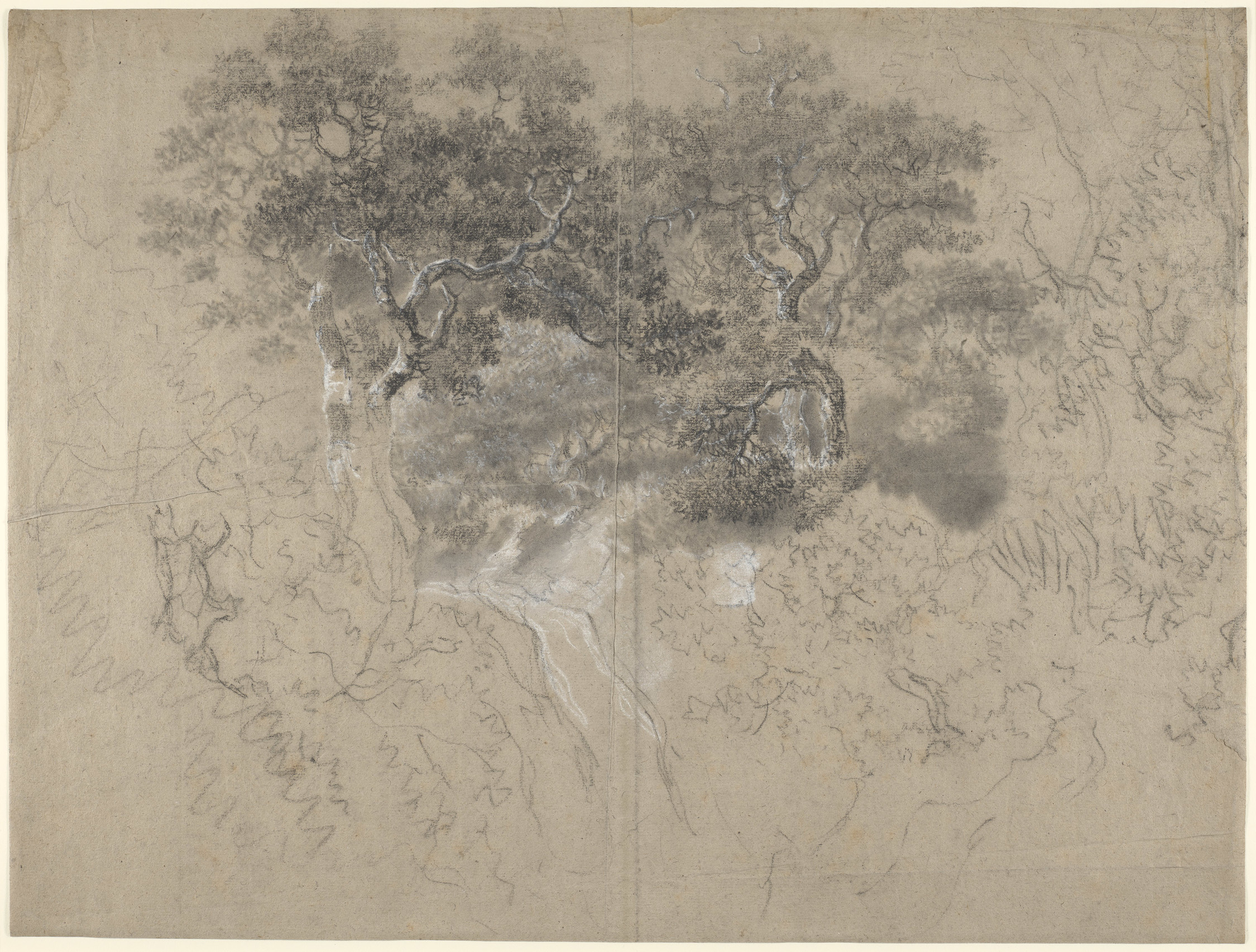 A drawing in black and white chalk and stump of trees and undergrowth, and a path or waterfall at the centre. Trees at centre more worked up. Drying fold at centre of sheet. 
This drawing is one of 25 landscape drawings in the Royal Collection that were f