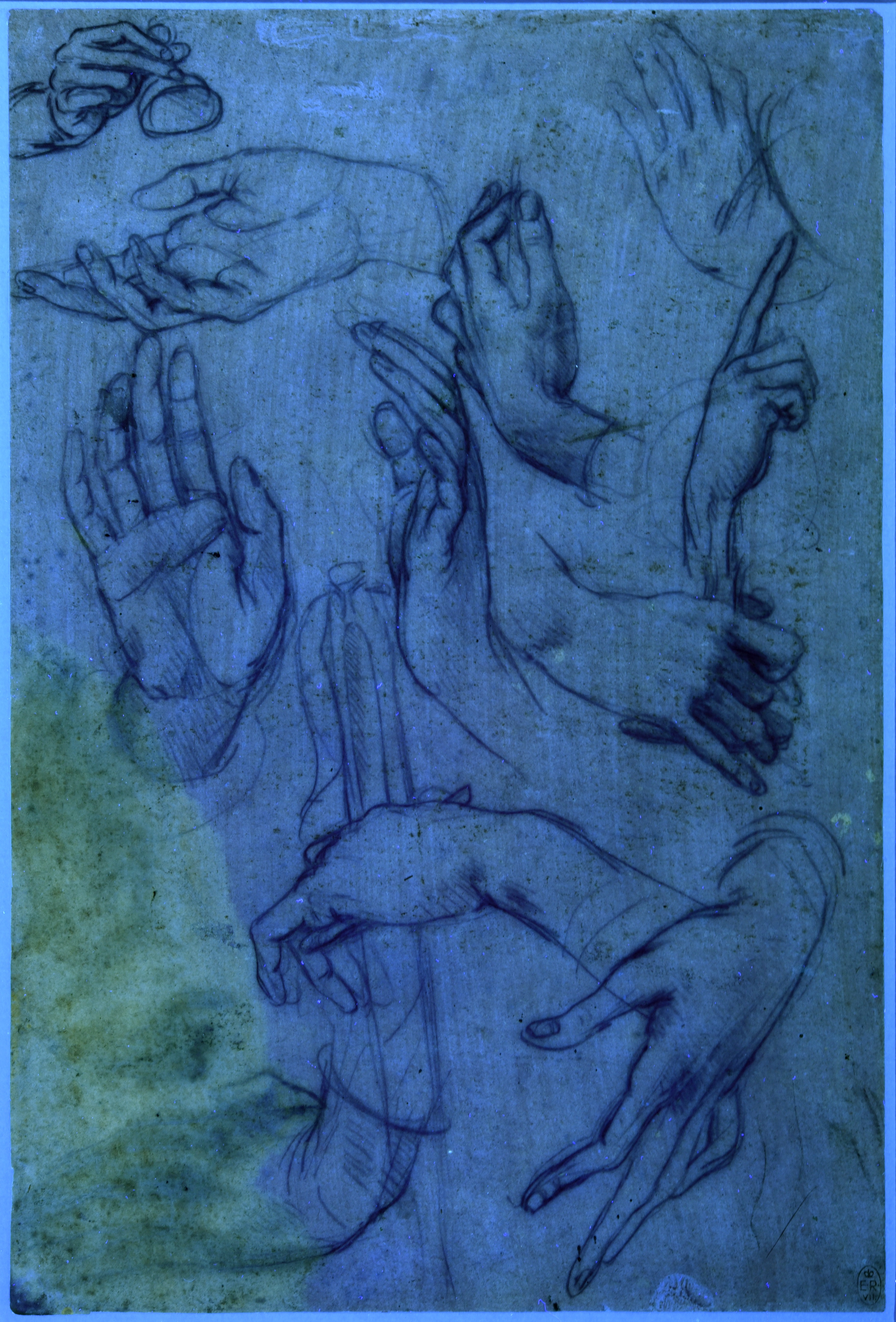 Leonardo da Vinci's 'Studies of hands' under UV light