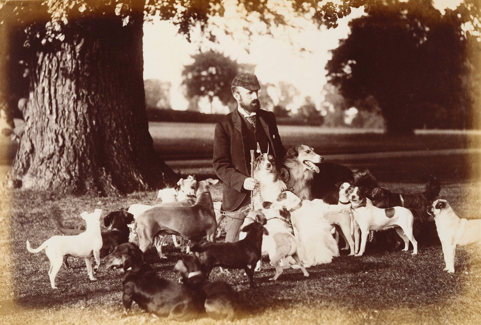 Mr. Hill with dogs from the Windsor kennel Photograph of Mr Hill, the kennel master, under a tree surrounded by dogs from the Windsor kennels. The group of dogs includes Borzois, pugs, fox terriers, greyhounds and dachshunds. Either Mr. Joseph Hill or Mr. Oliver Hill (apparently unrelate