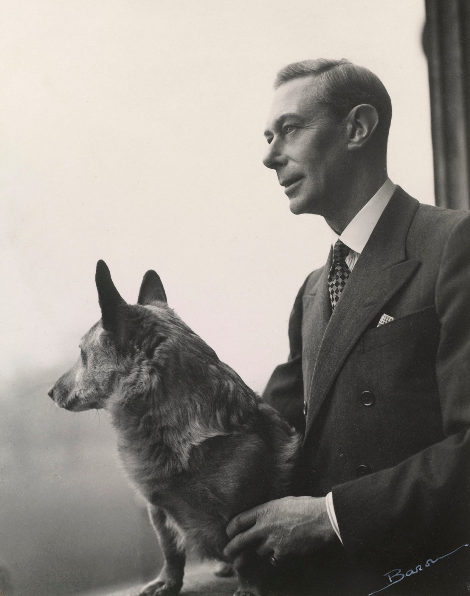 King George VI with a corgi Photograph of King George VI (1895-1952) with a corgi. King George VI is standing and looking out of a window in Buckingham Palace. Captured in profile, he faces left. The dog sits on the windowsill, its head turned away from the camera.
This i