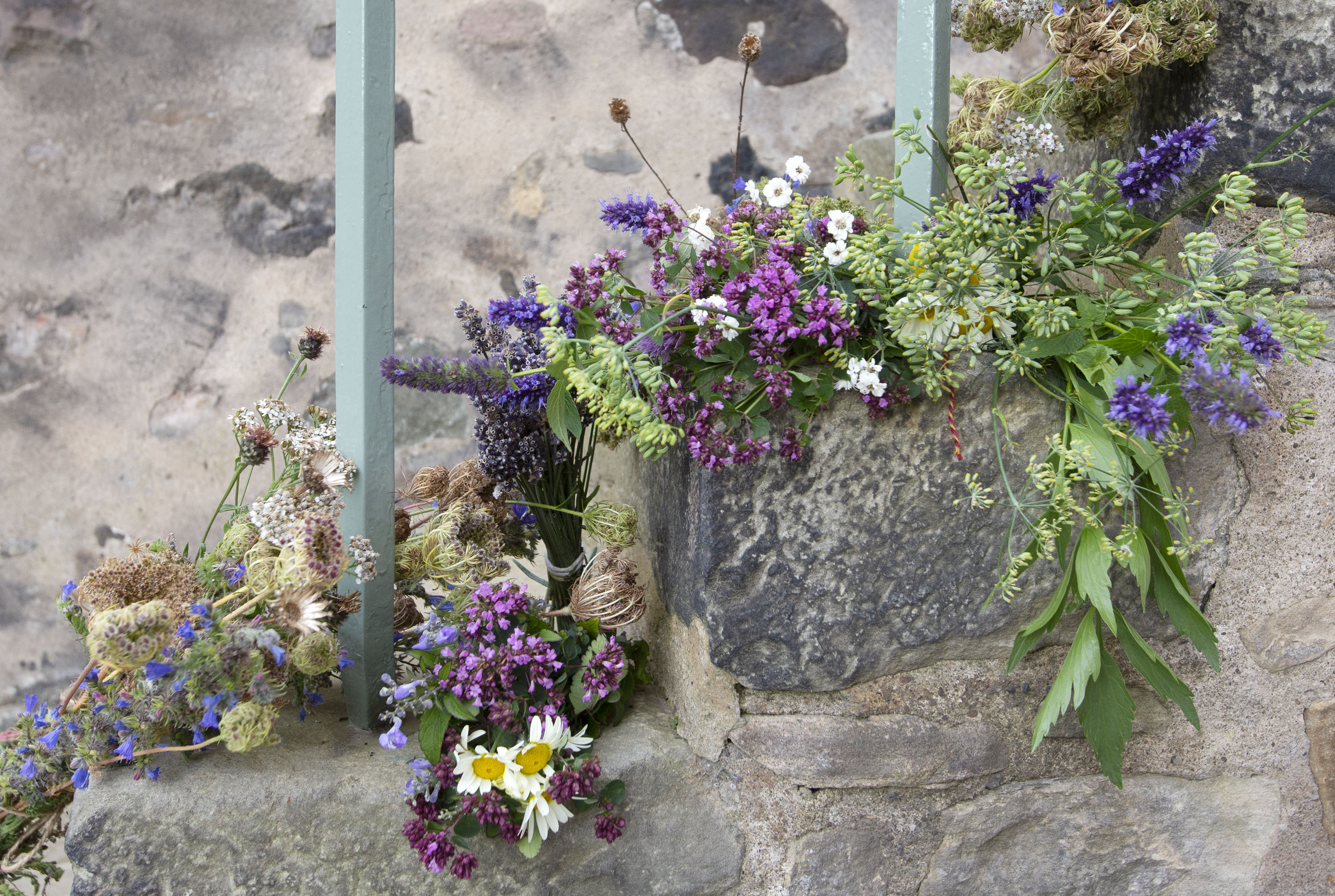 bundles of herbs drying on the steps of Abbey Strand