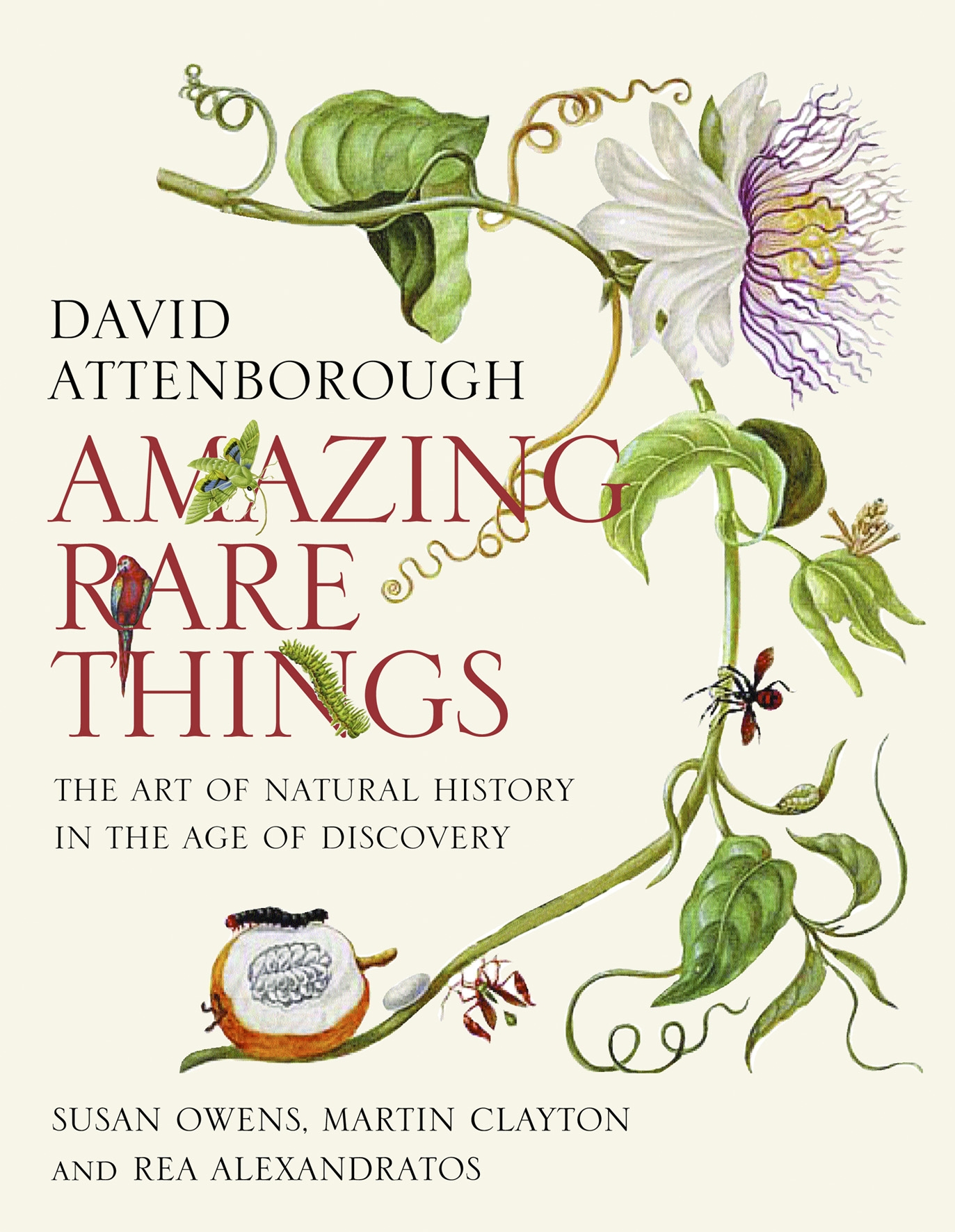 Cover for Amazing Rare Things 