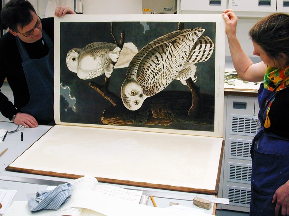 Illustrating the size of the plates in the volume