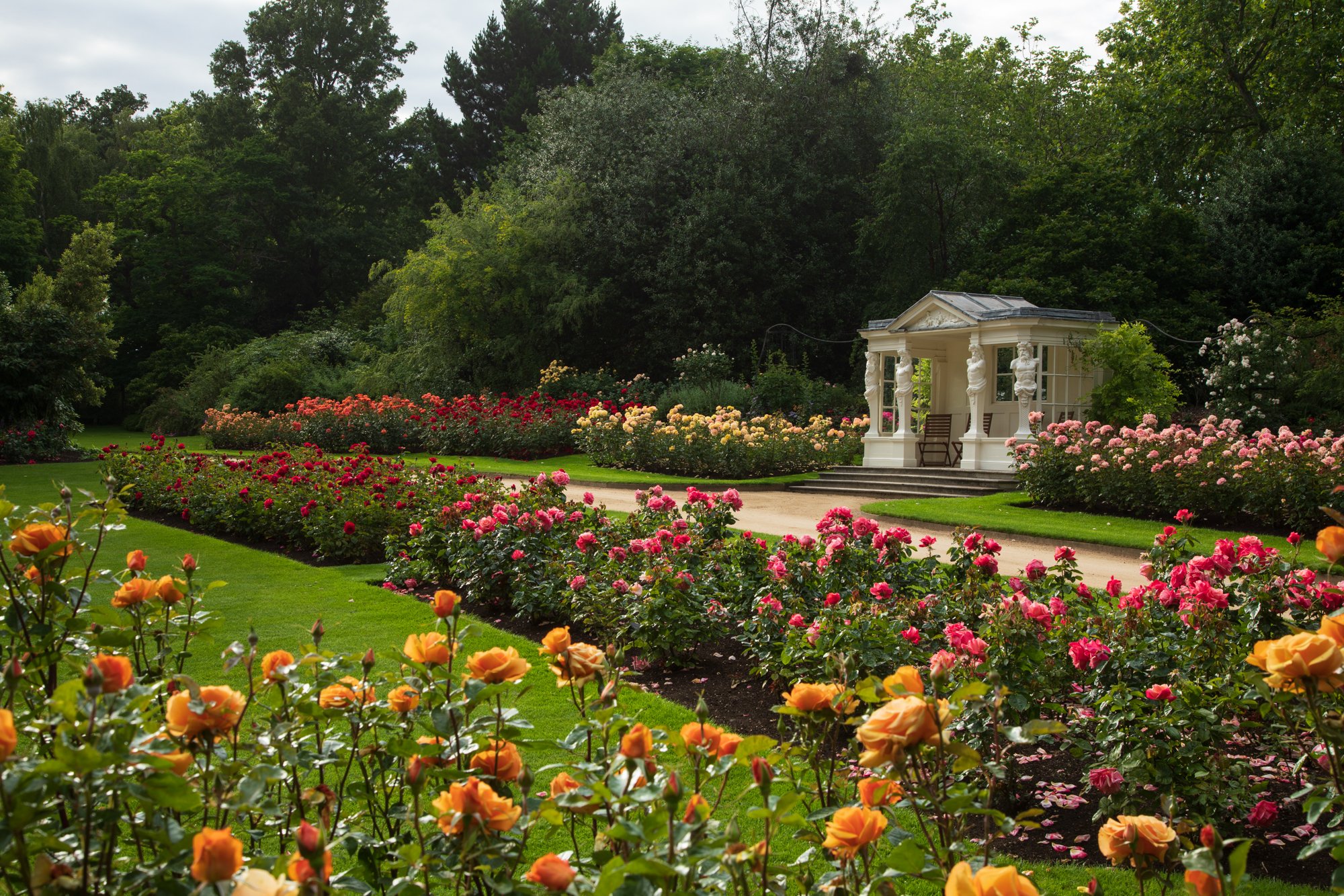 Explore The Garden at Buckingham Palace