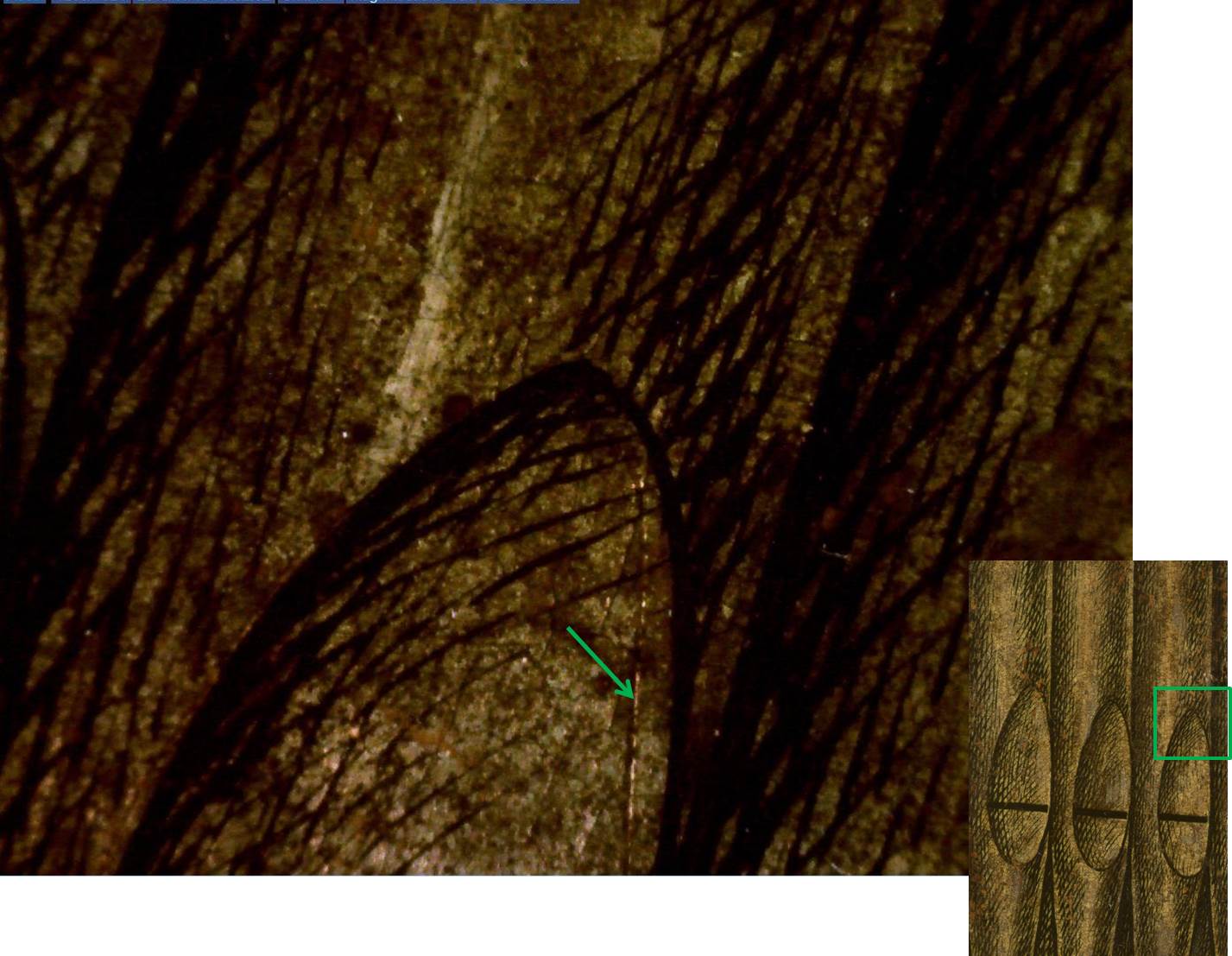 Incisions in the painting create the sensation of depth