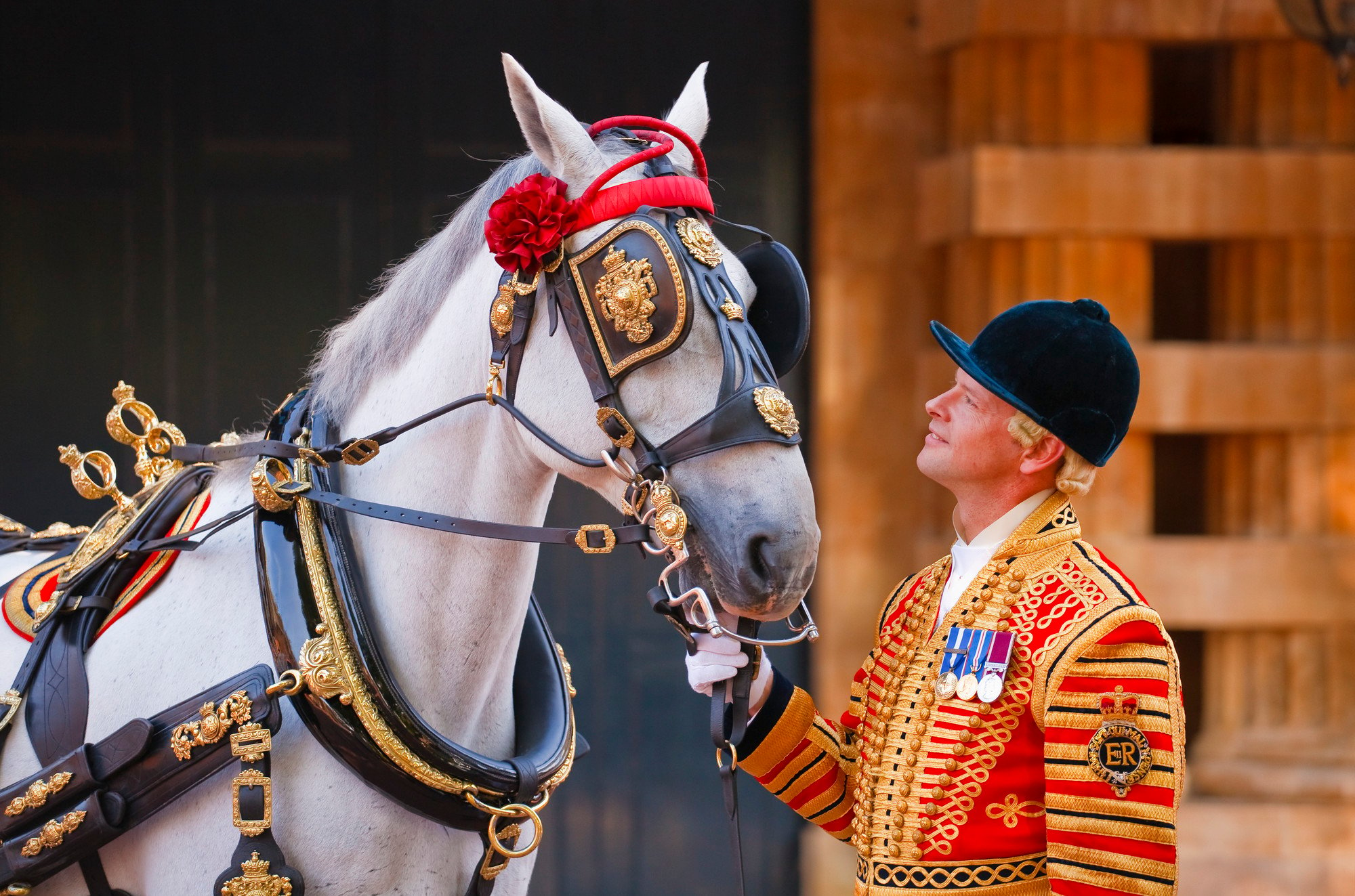 Horse dressed in Royal Mews finery with rider in uniform