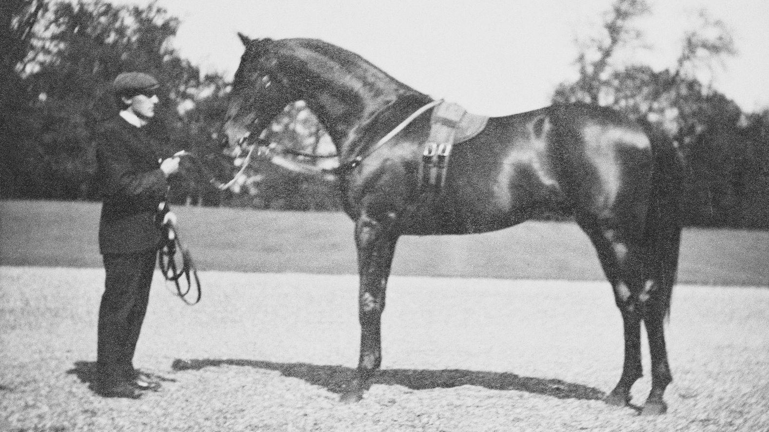 Queen Alexandra, when Princess of Wales, Persimmon, the Prince of Wales's horse, 1900, RCIN 2300005