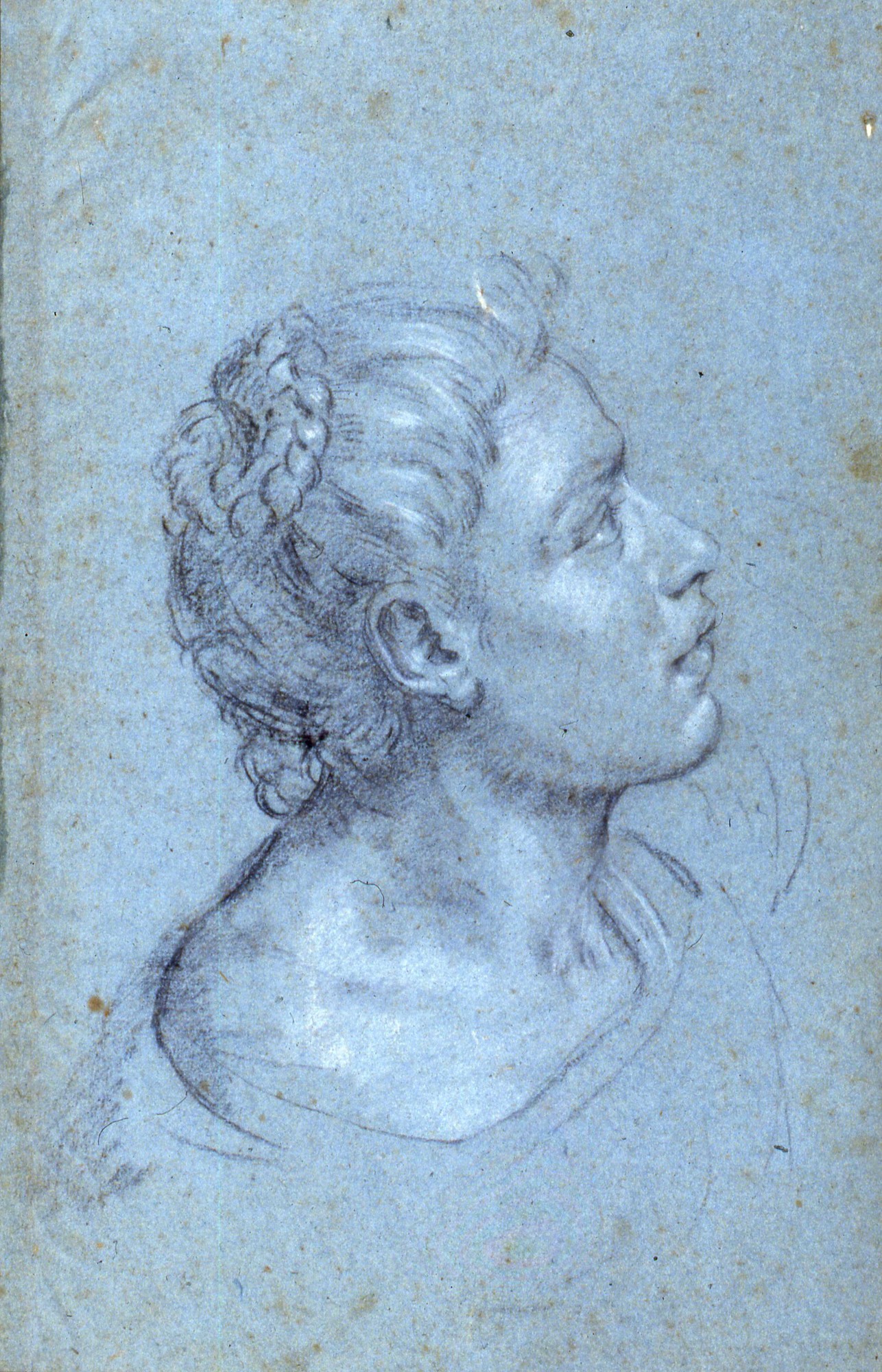 Drawing of a head of a girl in profile
