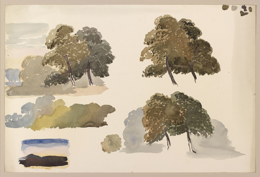 Watercolour studies of trees