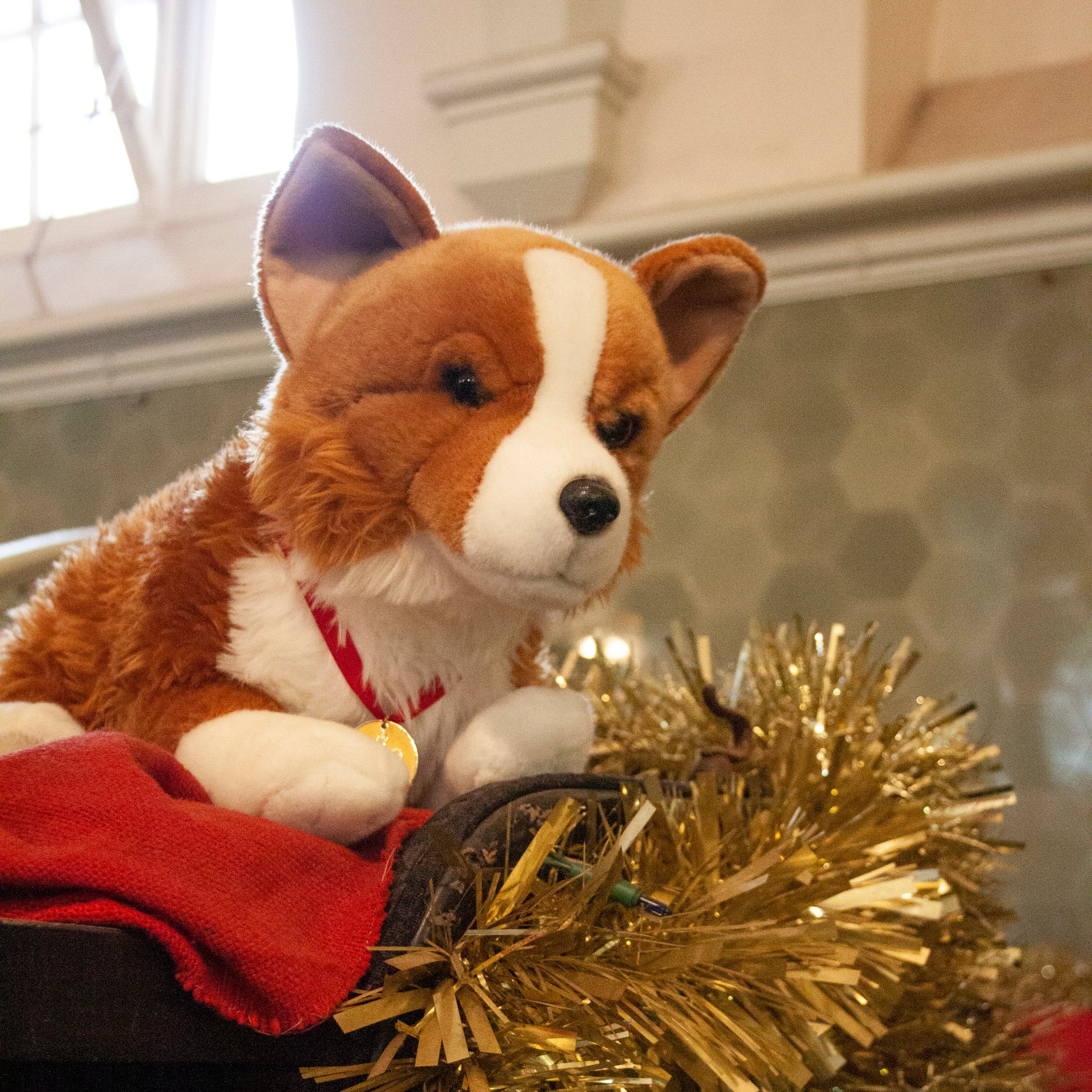 Toy corgi