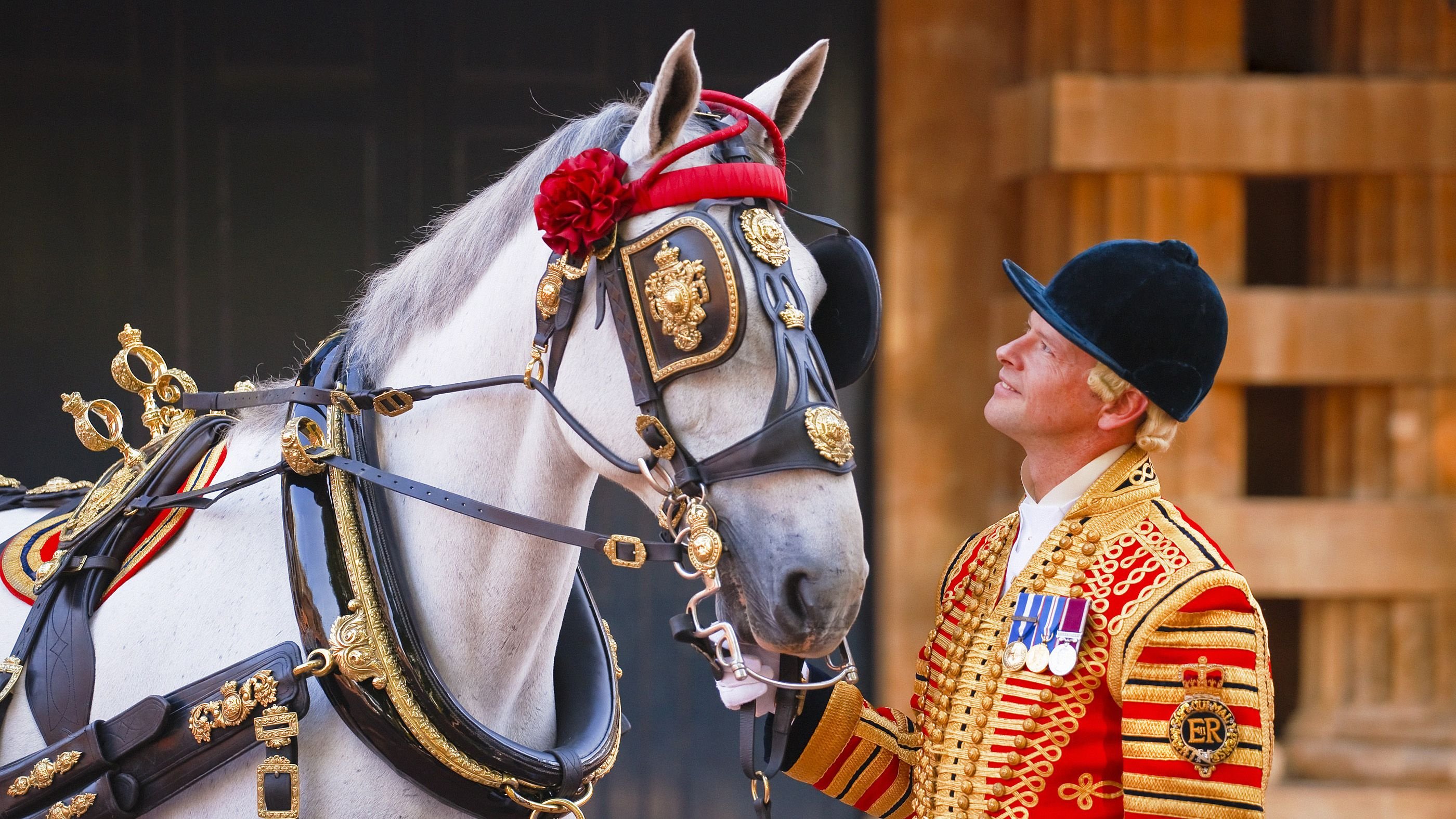 A Coachman and a horse at the Royal Mews, Buckingham Palace