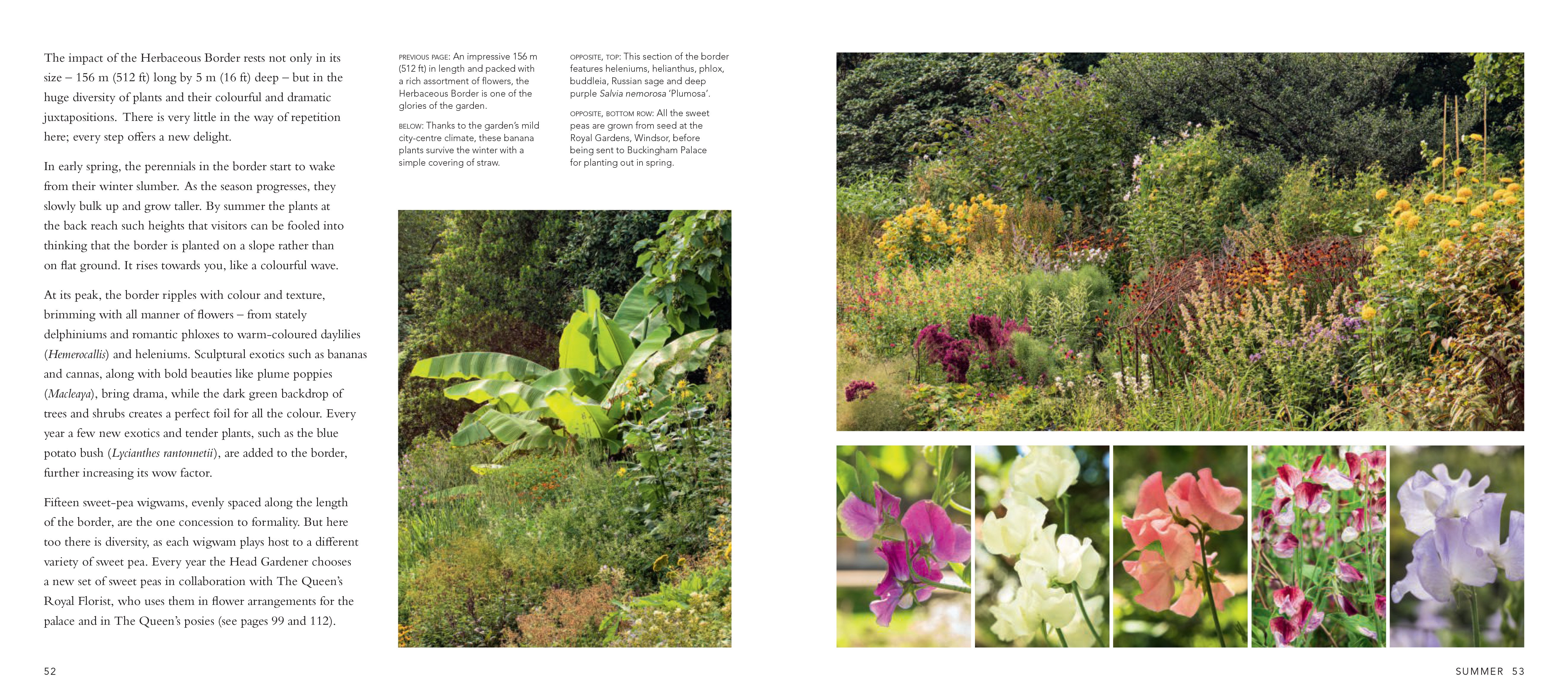 Scene from the Buckingham Palace garden book