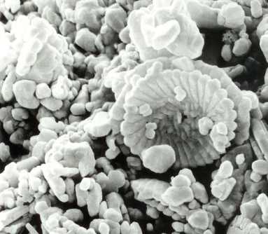 Scanning electron microscope image of sixteenth century chalk particles