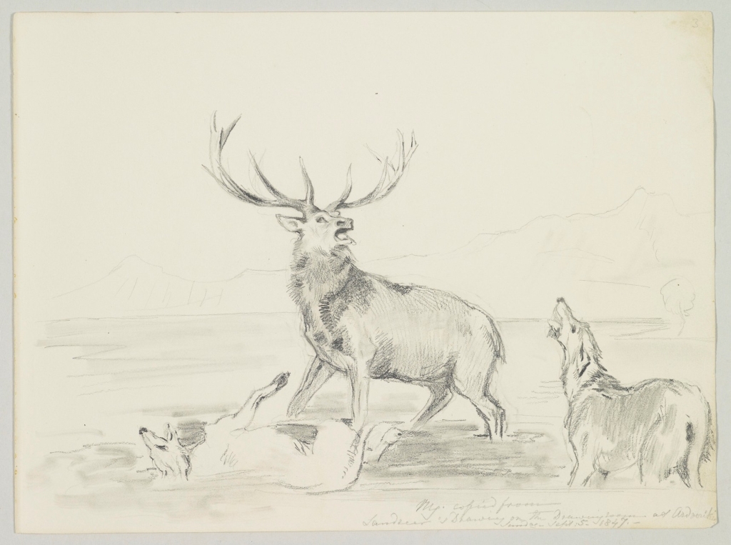 A pencil drawing, after Landseer's mural on the dining room wall at Ardverikie Shooting-lodge. A stag is shown in the centre, being attacked by two dogs. One dog is shown lying at the stag's feet to the left and the other is shown standing to the right. H