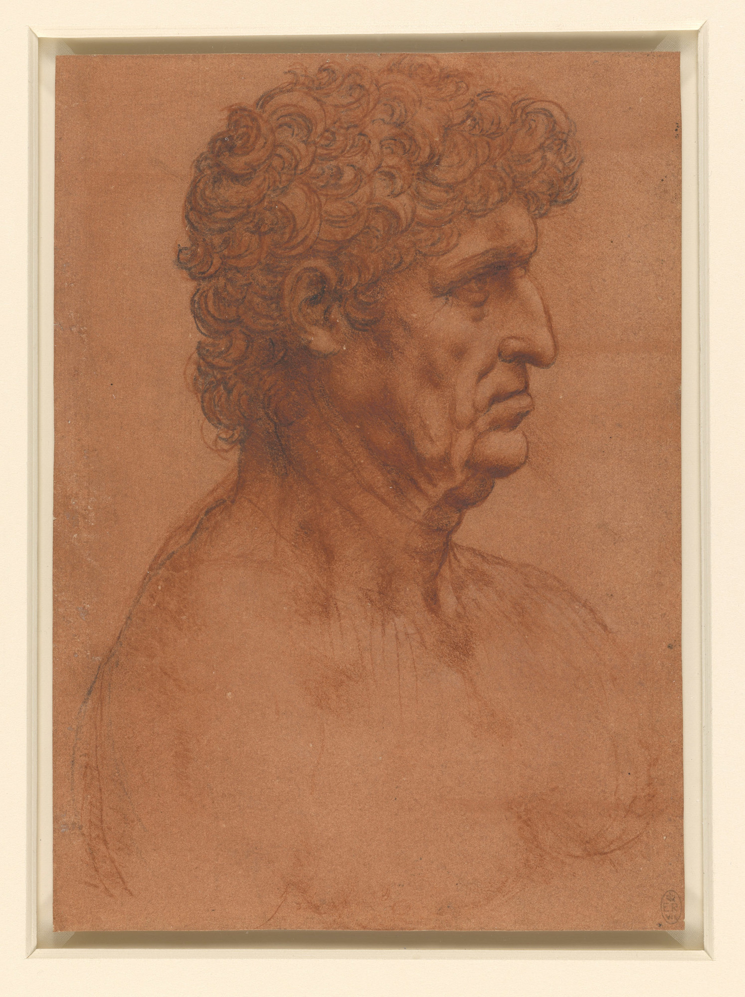 A drawing of the head and shoulders of an elderly man, his head turned in profile to the right, and his body three quarters to the right. He has thick curly hair, and a heavy neck and jaw. 
Early in his career Leonardo fixed on two standard male types, wh