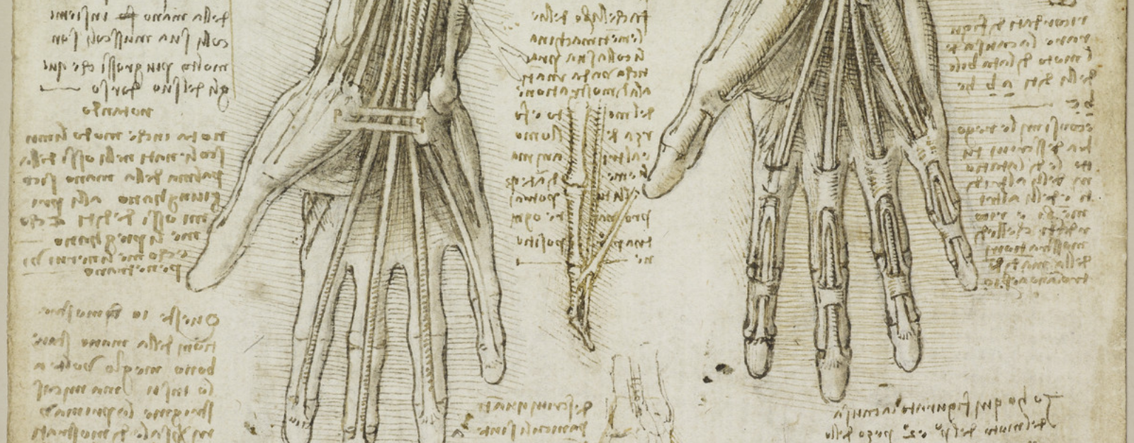 drawing of hands by Leonardo da Vinci
