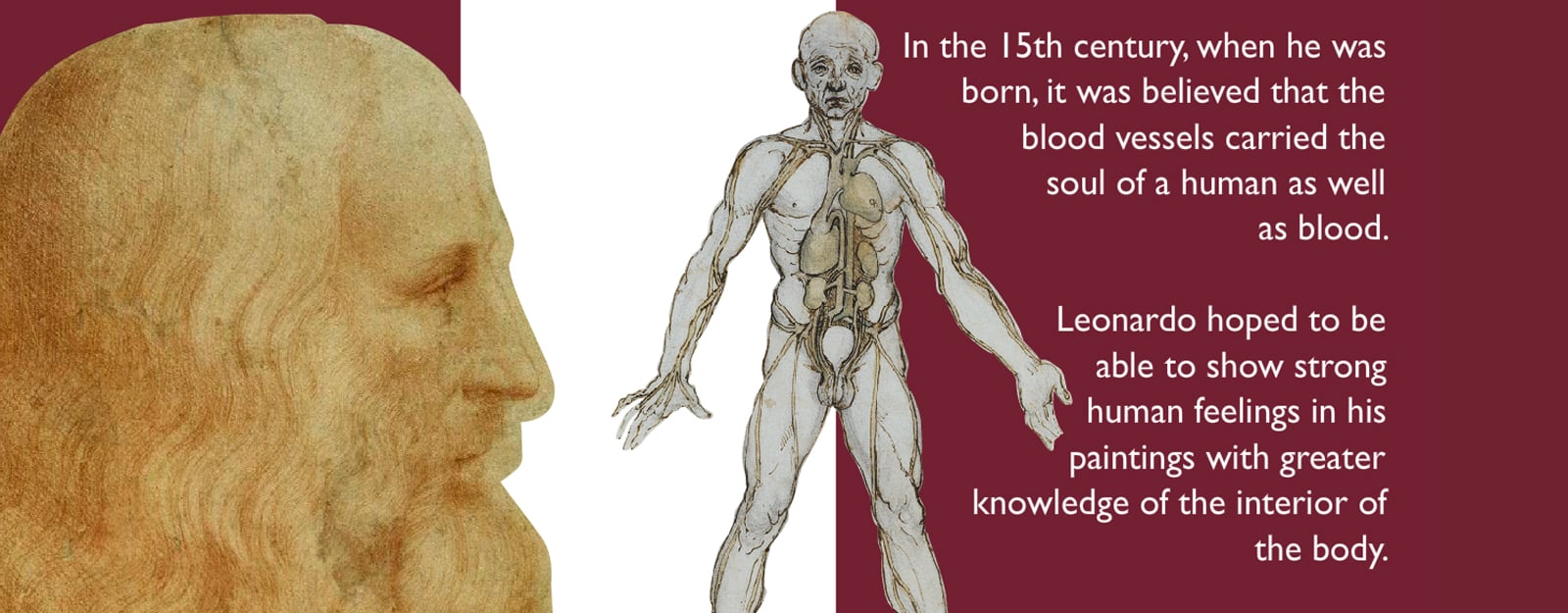 Have a Heart: Leonardo da Vinci activity banner