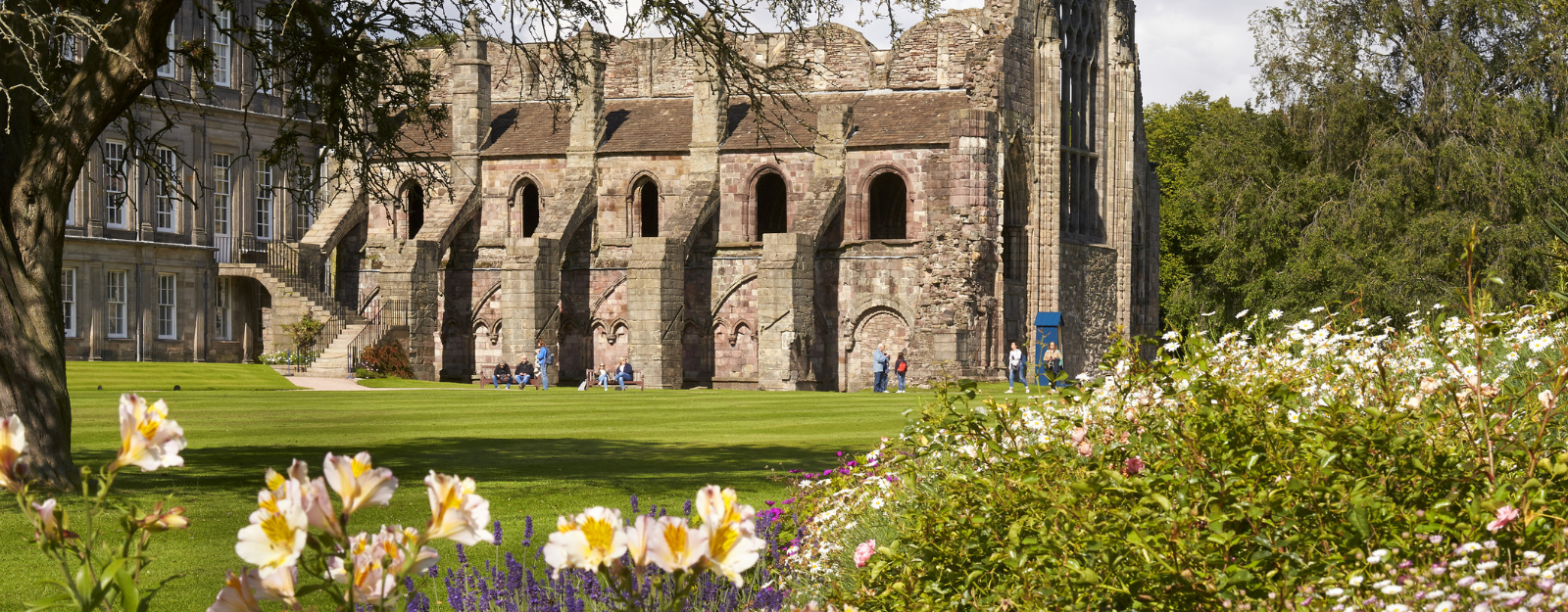 Holyrood Abbey and gardens