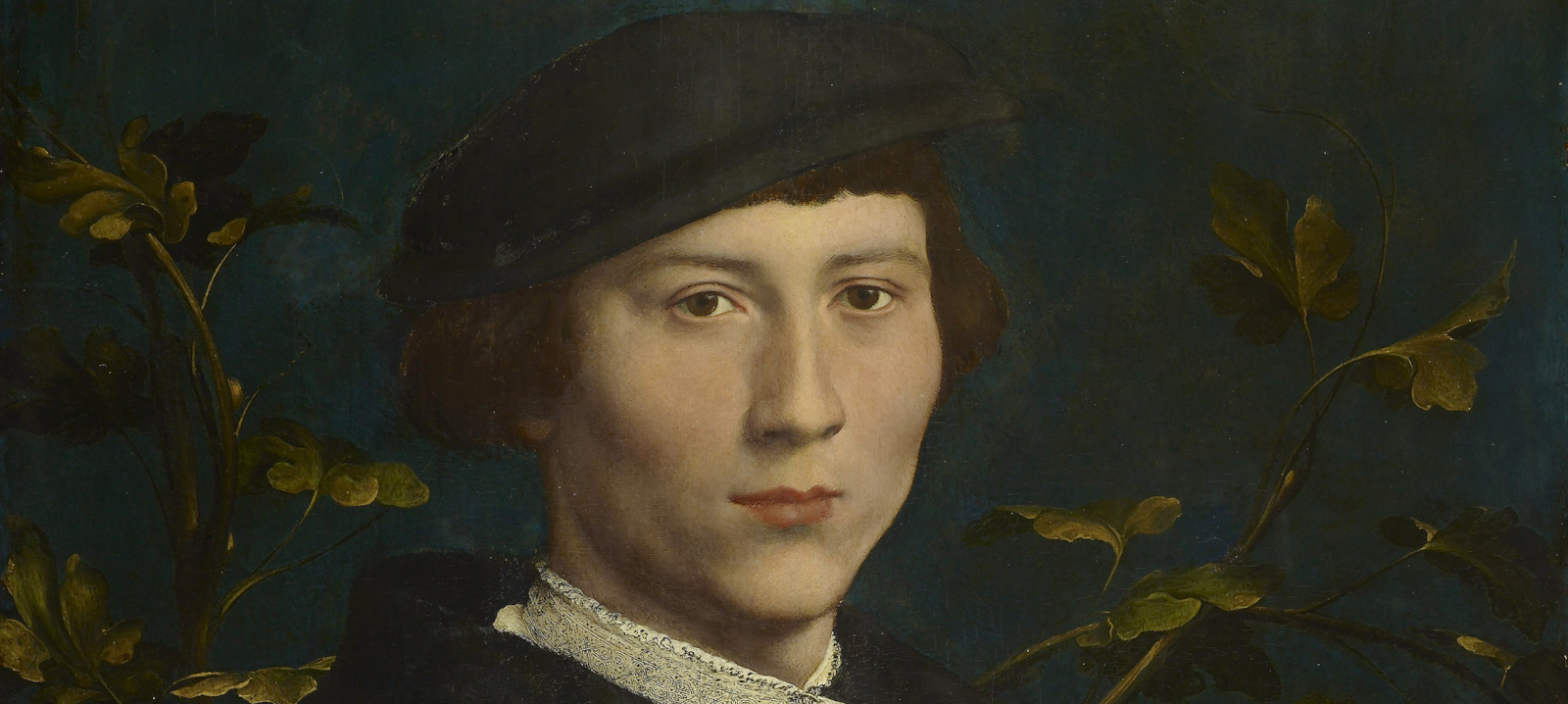 Portrait of Derich Born by Hans Holbein the Younger, RCIN 405681 