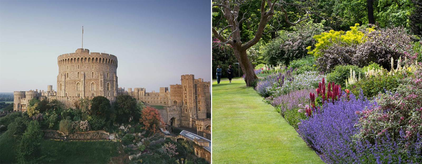 Windsor Castle and The Savill Garden