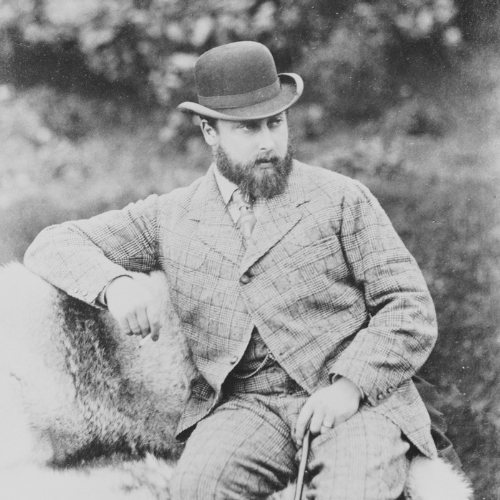 Portrait photograph of King Edward VII (1841-1910), when Albert Edward, Prince of Wales, November 1871 (RCIN 2107090) Photograph of a three-quarters length portrait of Prince Edward of Wales who is pictured sitting outdoors on a sheepskin rug.