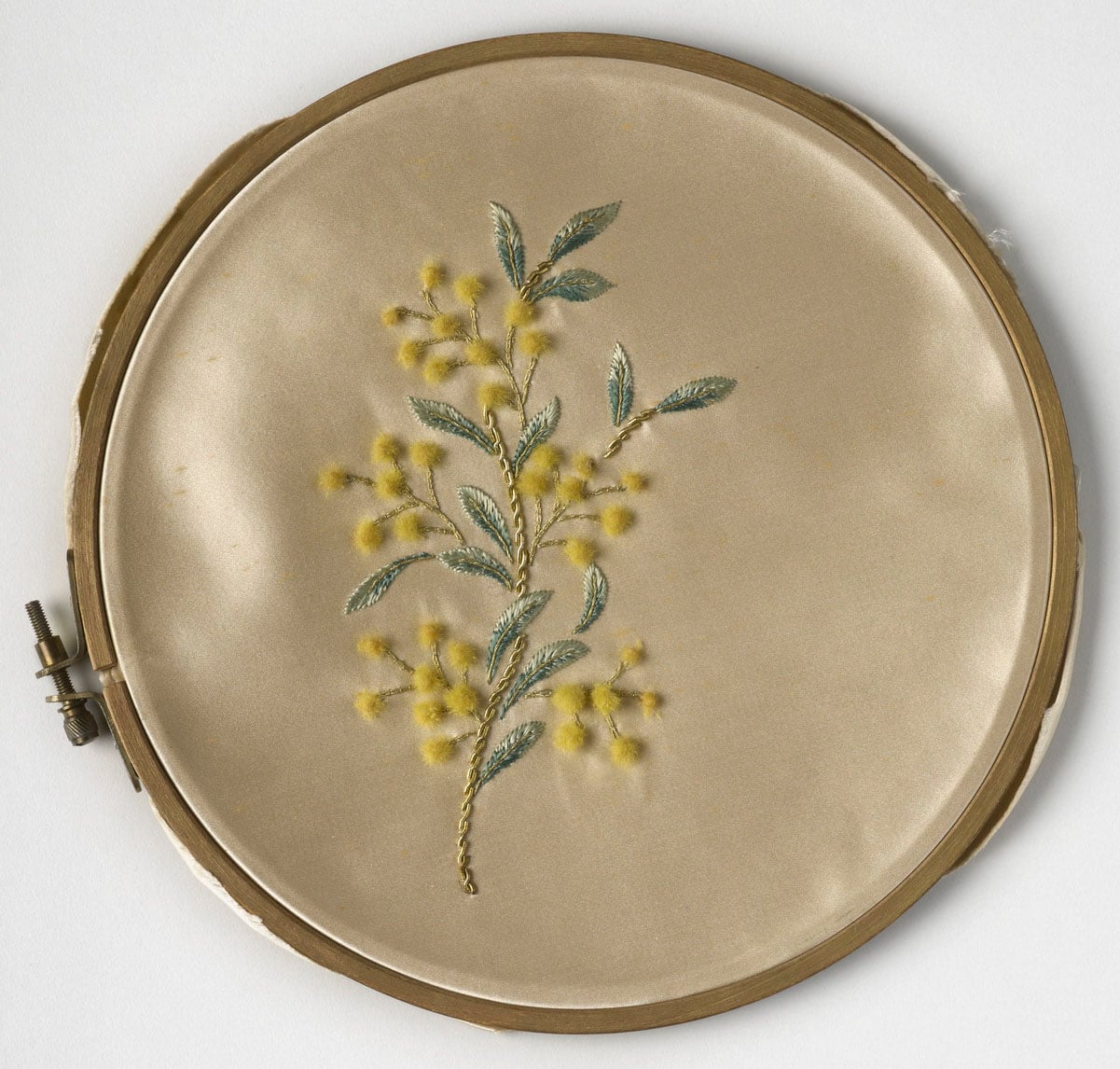 Embroidery sample of the Wattle of Australia (RCIN 300022) Wattle of Australia