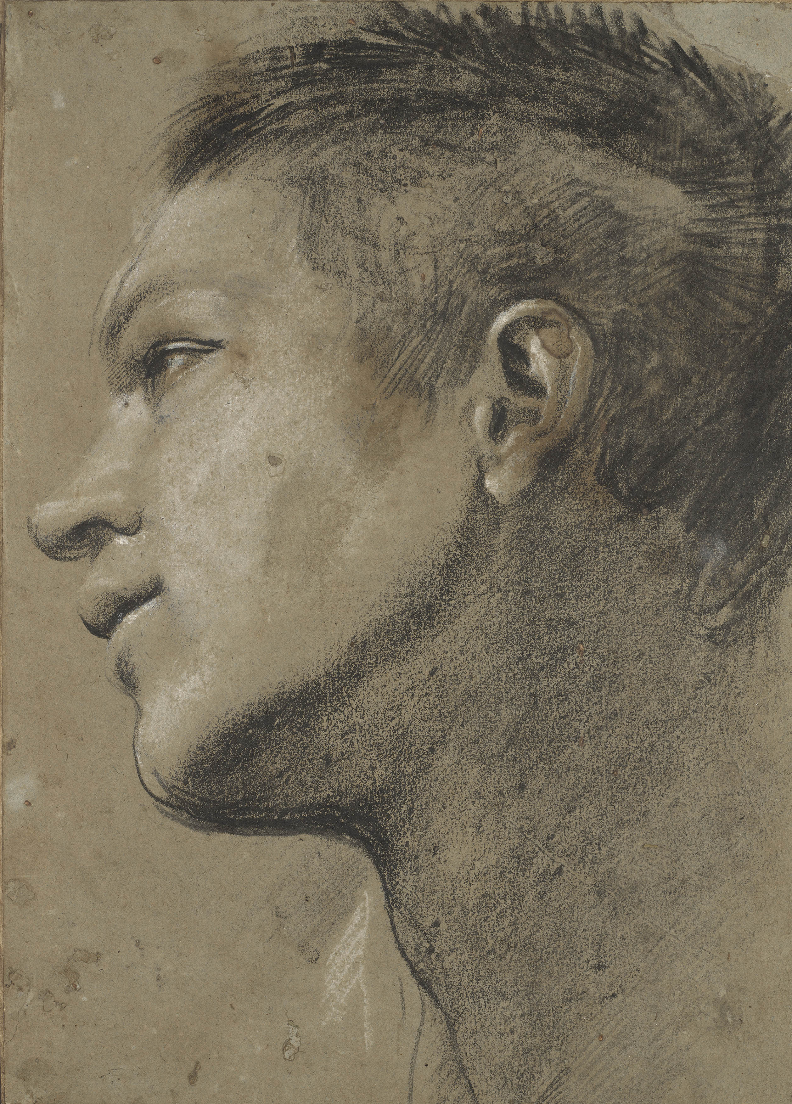 Renaissance drawing of the head of young man