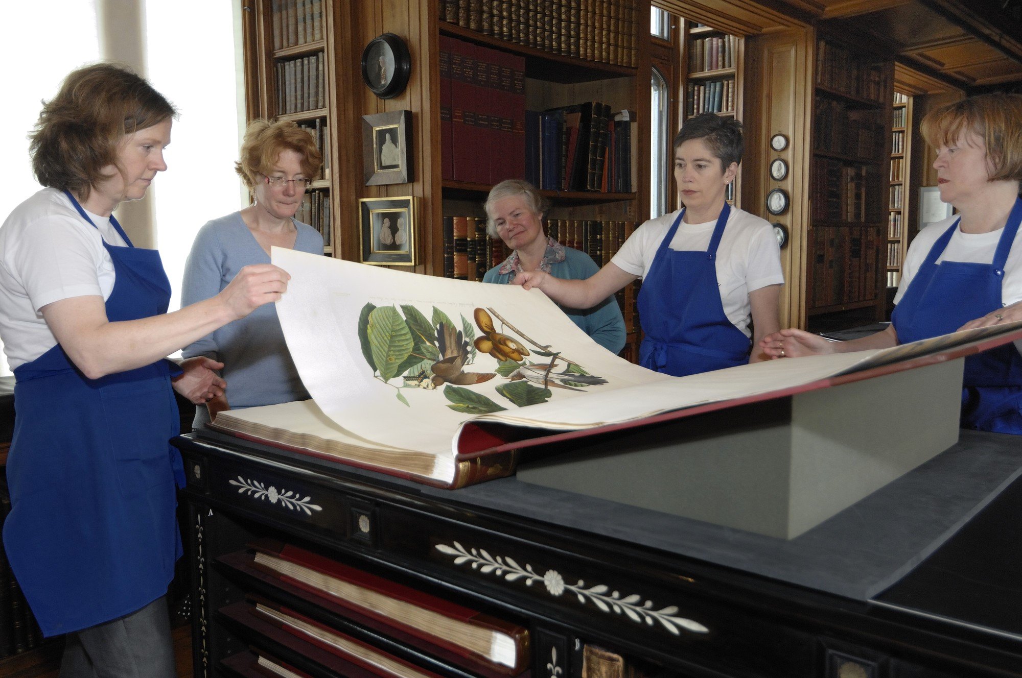 Conservators at Royal Collection Trust handling John James Audubon's The Birds of America.