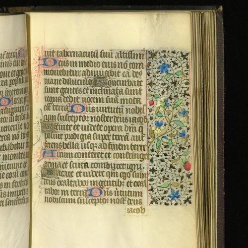 Detail view of Book of Hours c.1470, RCIN 1047354