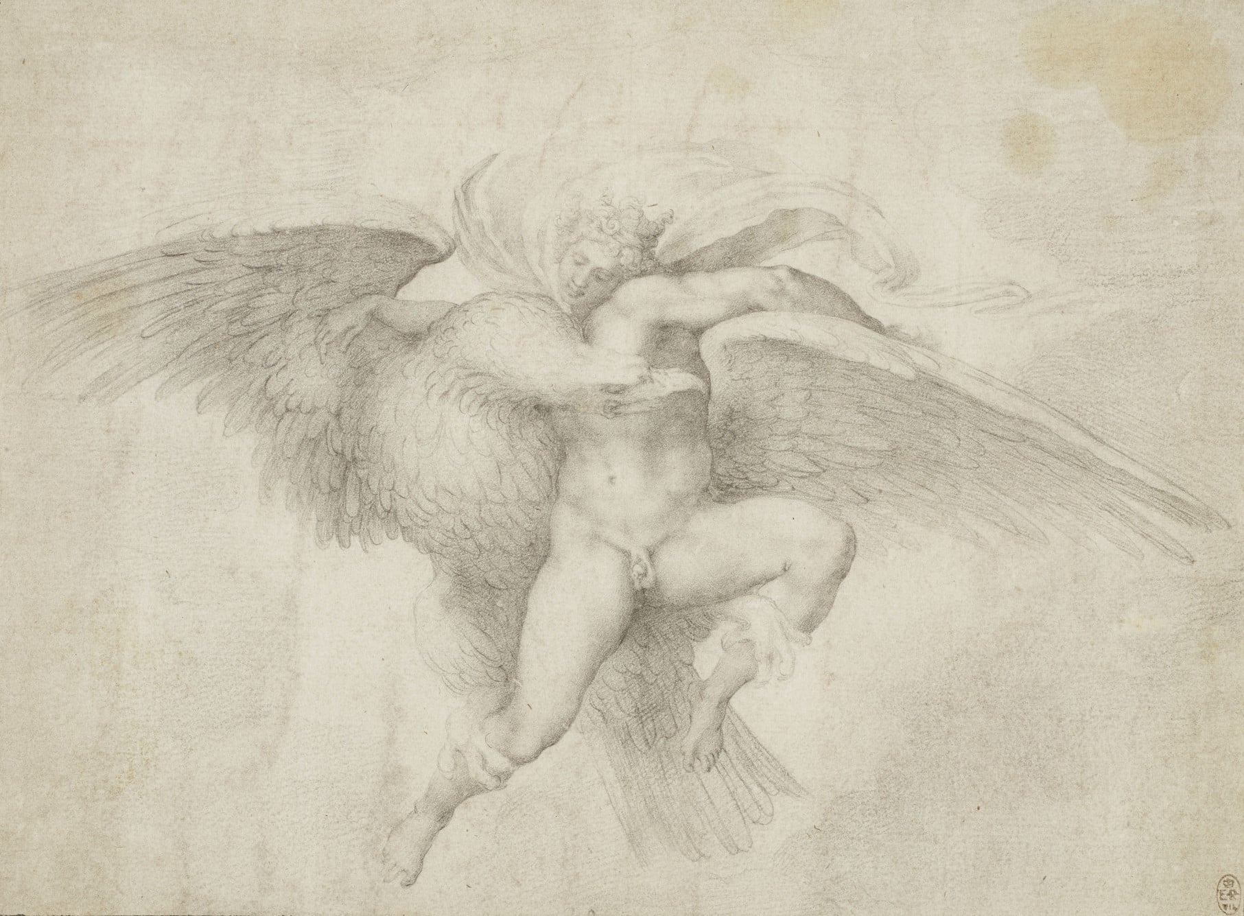 Giulio Clovio (after Michelangelo), Ganymede, c. 1540 (RCIN 913036) Black chalk drawing of Ganymede by Giulio Clovio (after Michelangelo)