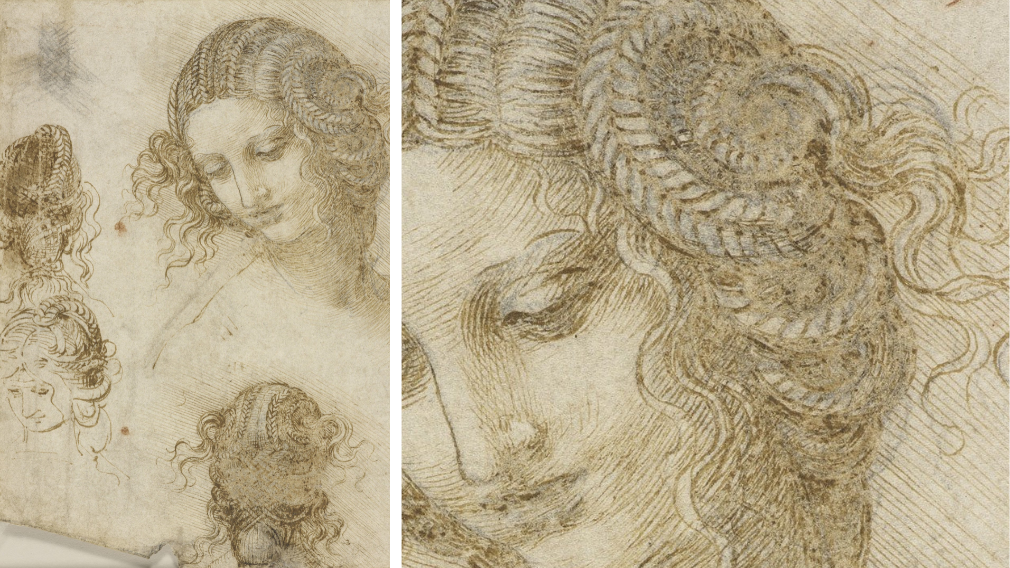 The head of Leda, c.1505-8 (RCIN 912518) The head of Leda, c.1505-8 (RCIN 912518)