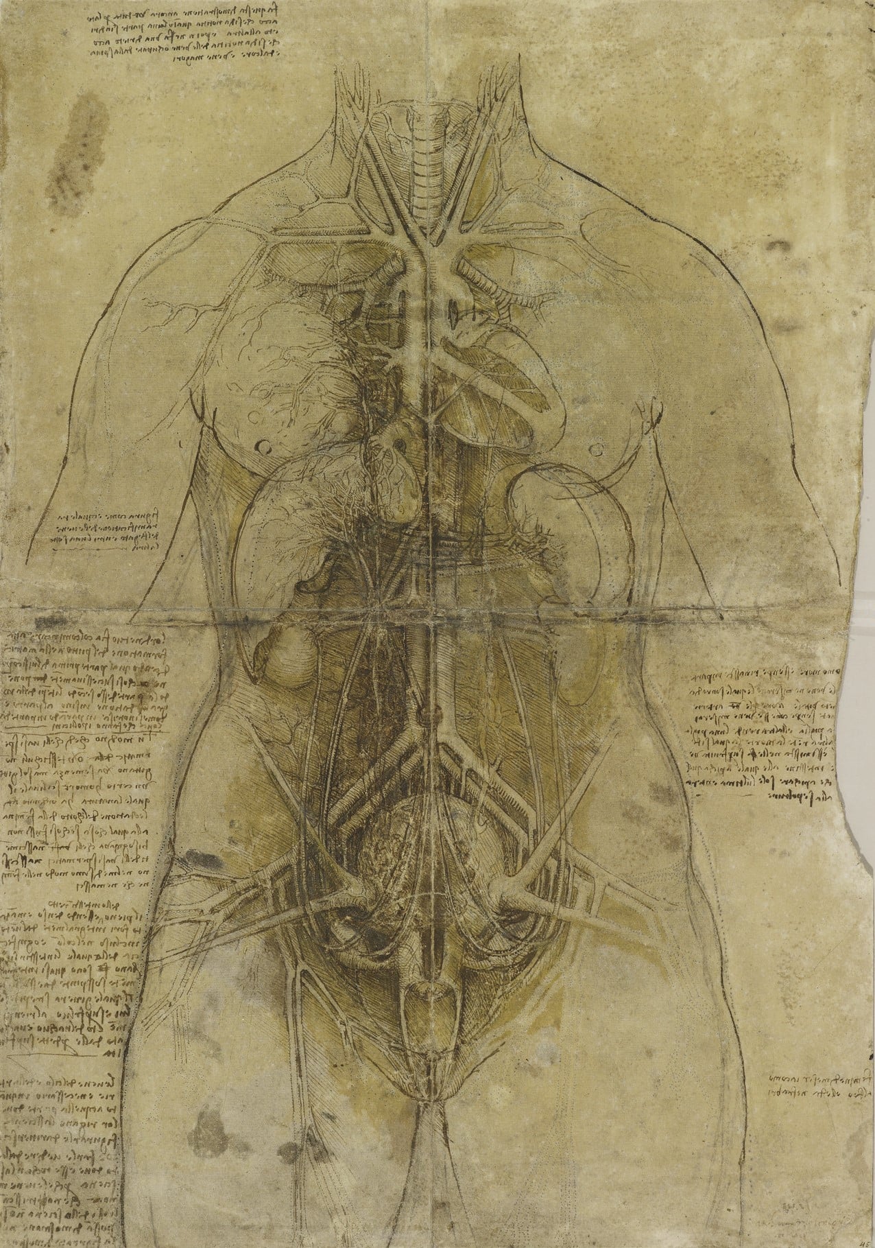 The cardiovascular system and principal organs of a woman, c.1509-10 (912281) The cardiovascular system and principal organs of a woman, c.1509-10 (912281)