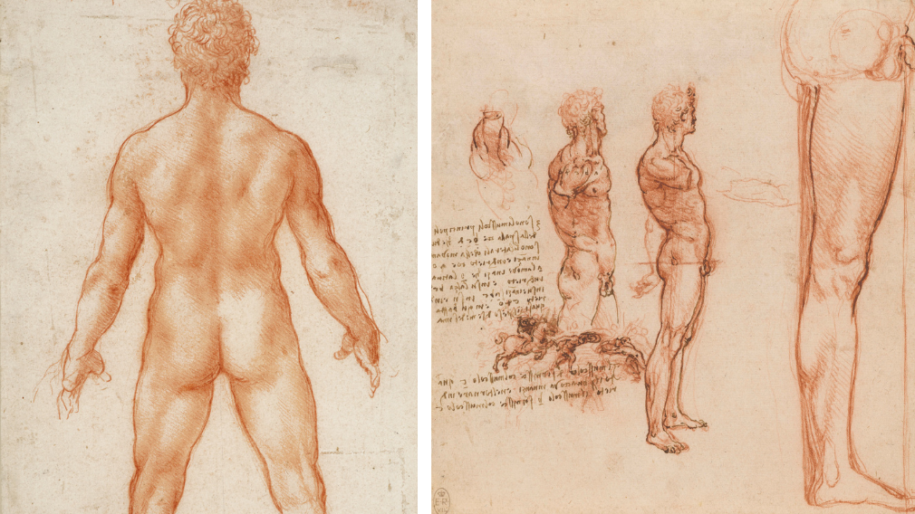Left: A standing male nude, c.1504-6 (RCIN 912596). Right: the muscles of the shoulder, torso and leg, and a skirmish, c.1506-8 (RCIN 912640) Left: A standing male nude, c.1504-6 (RCIN 912596). Right: the muscles of the shoulder, torso and leg, and a skirmish, c.1506-8 (RCIN 912640)
