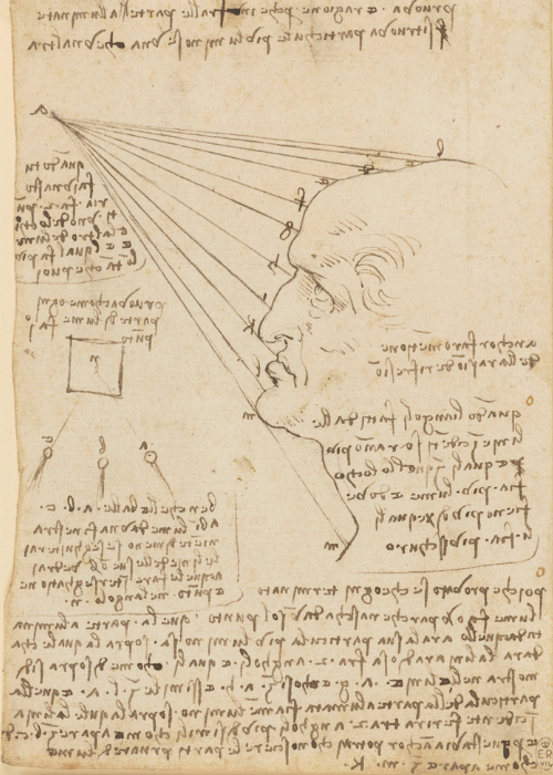 The fall of light on a face, c.1488 (RCIN 912604)