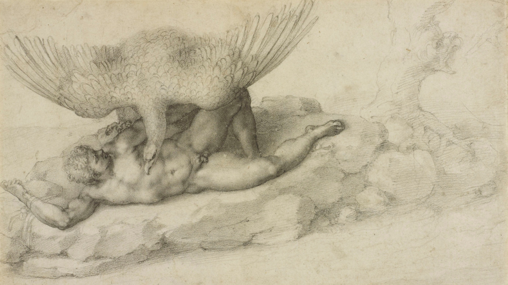 The Punishment of Tityus, 1532 (RCIN 912771) Black, charcoal drawing of The Punishment of Tityus by Michelangelo