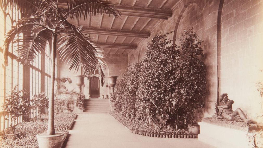 Photograph of the Orangery, c. 1890-95 (RCIN 2935648) Black and white photograph of a Orangery with plants.