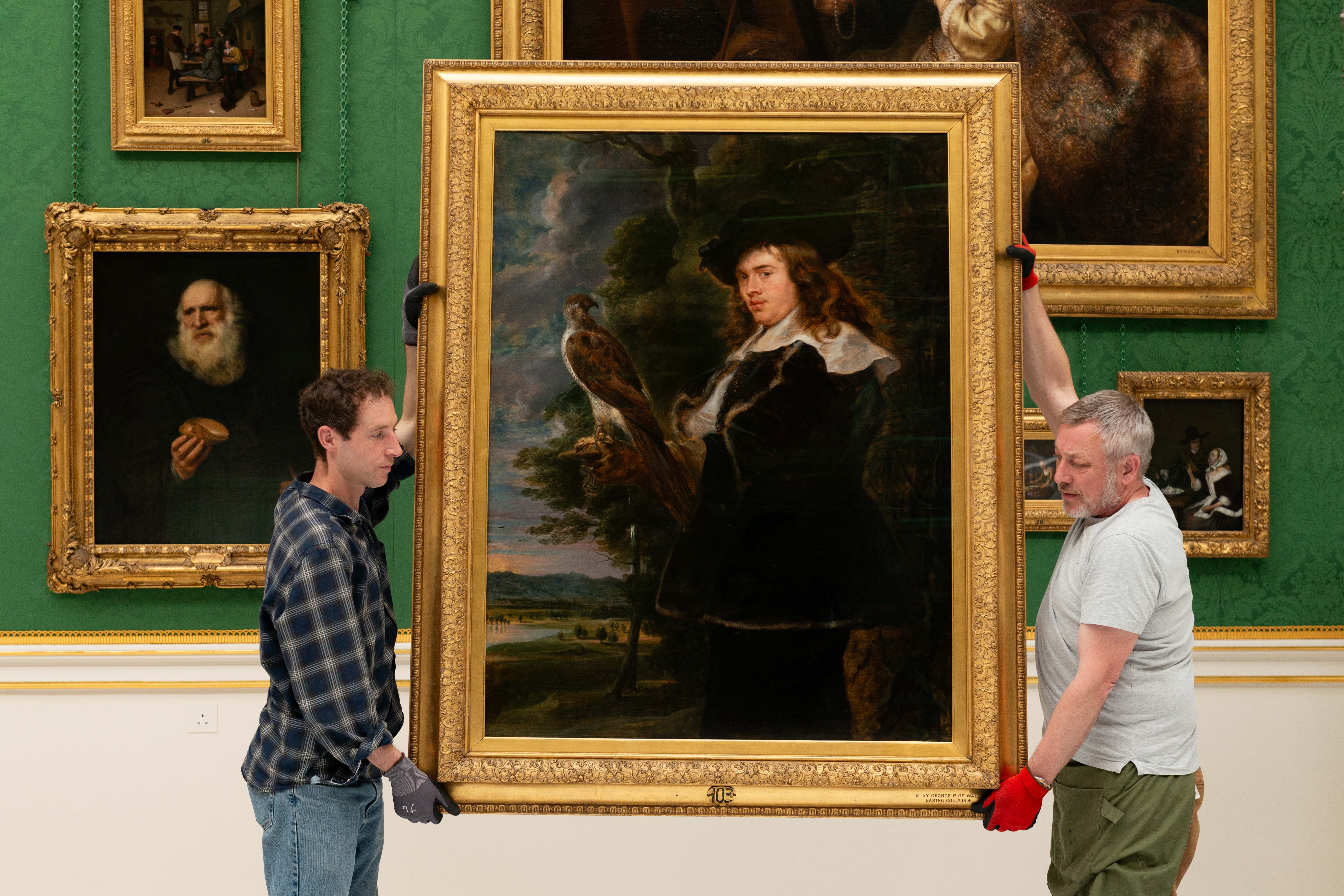 A Young Man with a Falcon painting being installed in the Picture Gallery. A painting of a Young Man with a Falcon being carried by 2 people in the Picture Gallery.