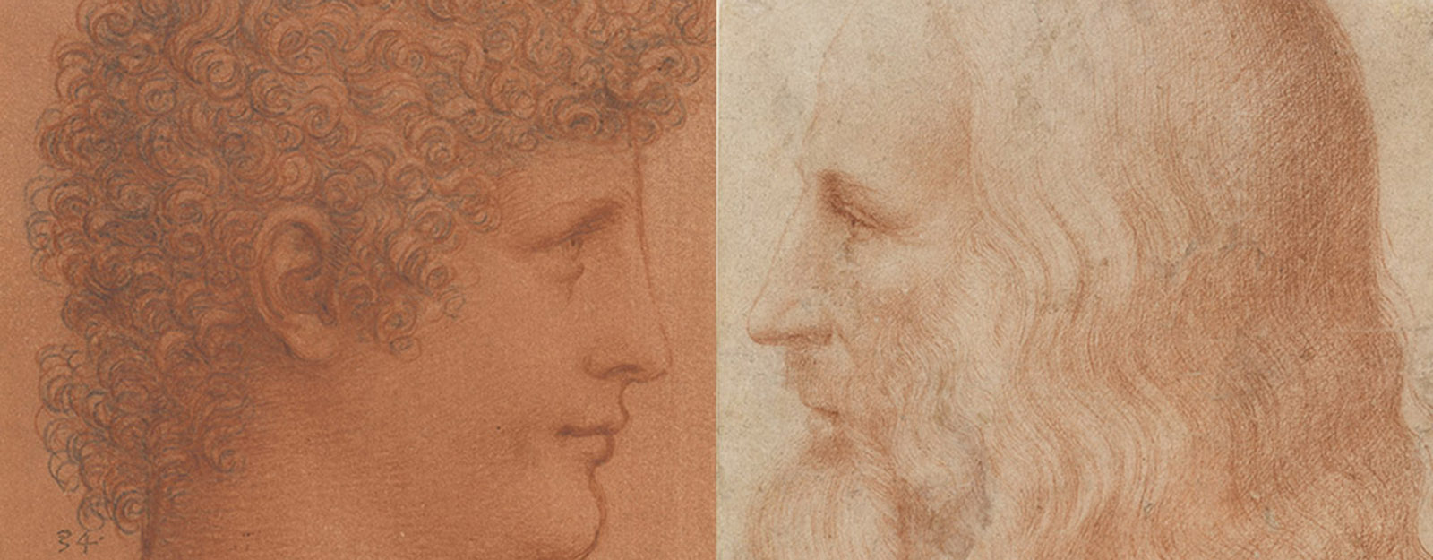 Drawing of the head of a youth by Leonardo and a portrait of Leonardo