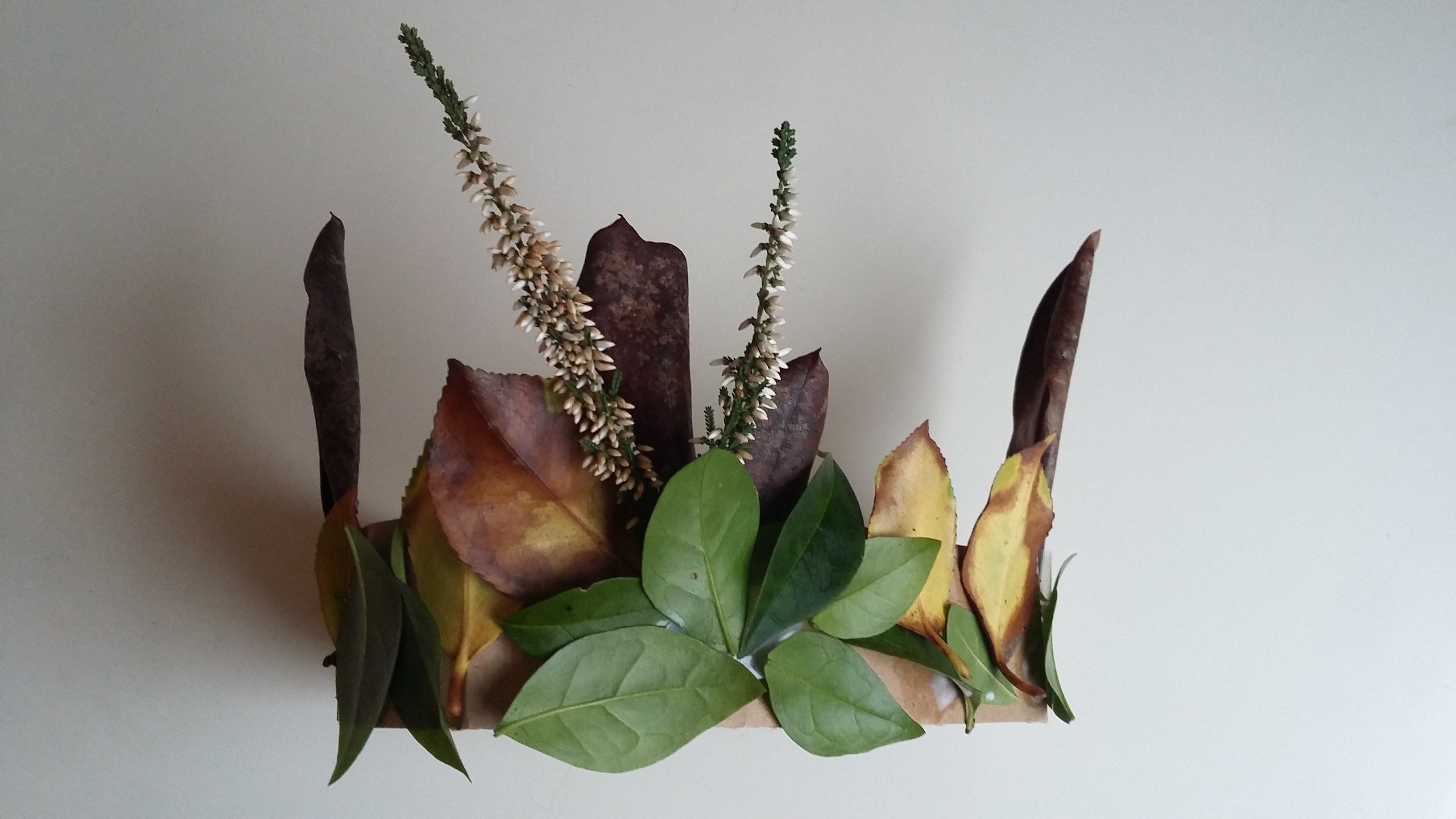 Nature crown nature crown