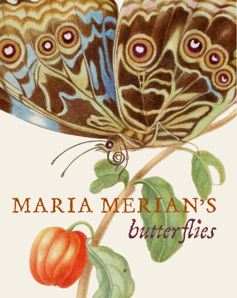 Cover jacket of Maria Merian's Butterflies Cover jacket of Maria Merian's Butterflies