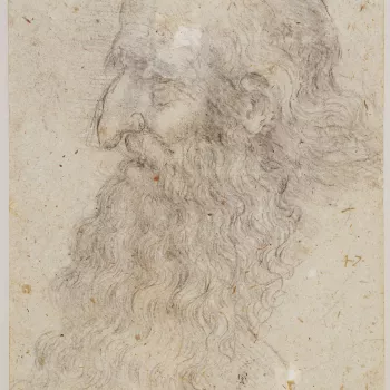 Self portrait of Leonardo da Vinci as an old man