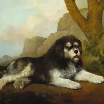 The Royal Collection holds an important group of paintings by George Stubbs; all of them were acquired by George IV when Prince of Wales and all of them (with the exception of OM 1115, 400512) were sent in 1822 from Carlton House to the King’s Lodge (la