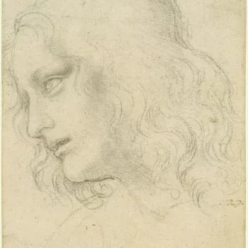 A drawing of the head of a youth, with long wavy hair, bending forward and inclined slightly away from the spectator. He is seen almost in profile to the left, with his lips parted and his eyes raised.&nbsp;Melzi's number&nbsp;27.
Leonardo&rsquo;s greates