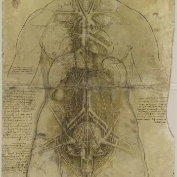 An&nbsp;anatomical study of the principal organs and the arterial system of a female torso, pricked for transfer.&nbsp;
This magnificent drawing is the culmination of Leonardo&rsquo;s researches into the viscera contained in his 'Anatomical Manuscript B' 