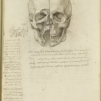 For Leonardo's skull studies of 1489, see RCIN 919059. 
The cranium studied on the recto is in the same section as in the upper drawing of 919057r, with the floor of the cranial cavity tilted a little further towards the viewer. Again, the site of the sen