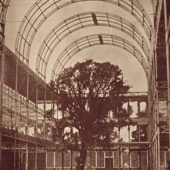 Photograph of the interior of Crystal Palace. There is&nbsp;a tree in the centre of the composition and a cart in the foreground. A man, wearing a dark colour suit and top hat,&nbsp;stands on the far&nbsp;right side of the photograph.