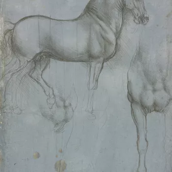 A study of a horse, full length, standing in profile to the right, with vertical lines indicating proportions; a study of the chest and part of the near fore-leg of a horse, and a slight sketch of the same; a study of the chest and off-fore leg of a horse