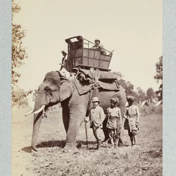 Photograph of elephant, standing with a driver and passenger on board. The Prince of Wales, later King Edward VII (1841-1910) and two&nbsp;men are standing in front of the elephant.

In an effort to strengthen diplomatic relations between the Indian rul